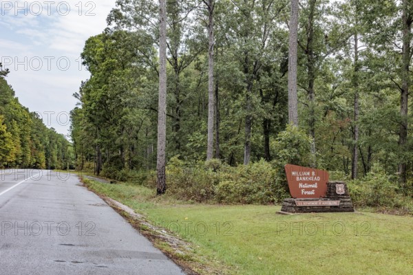 Sign entering the William B. Bankhead National Forest along highway 33 near Double Springs, Alabama