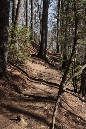 Benton MacKaye Trail in the Chattahoochee National Forest near Blue Ridge, Georgia, USA