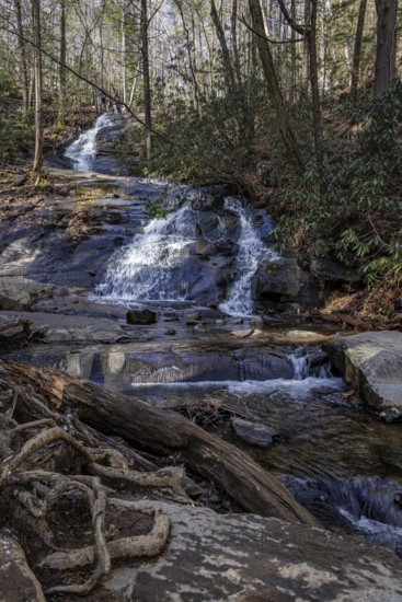 Fall Branch Falls along the Benton MacKaye Trail in the Chattahoochee National Forest near Blue Ridge, Georgia, USA