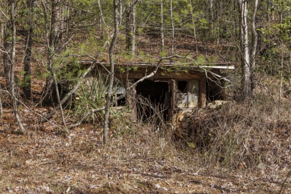 Abandoned root celler in the Chattahoochee National Forest near Blue Ridge, Georgia, USA