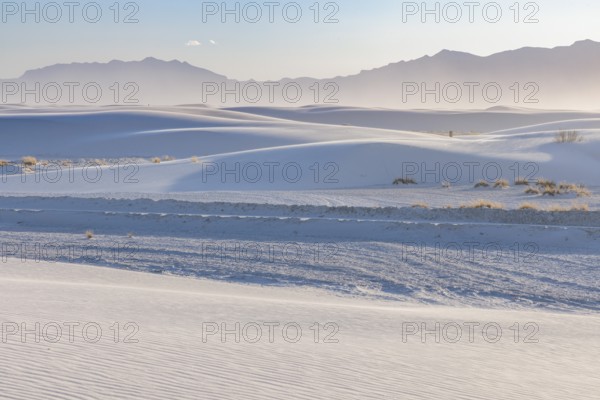 Dunes form smooth undulating curves and hills at White Sands National Park in Alamogordo, New Mexico, USA