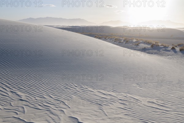 Patterns in the dunes at White Sands National Park in Alamogordo, New Mexico, USA