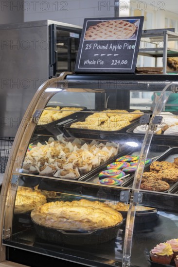Baked goods for sale including a 25 pound apple pie at the Dollywood amusement park in Pigeon Forge, TN