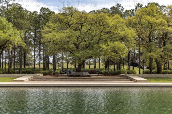 Live Oak trees line the sides of the Mary Gibbs and Jesse H. Jones Reflection Pool at Hermann Park in downtown Houston, Texas