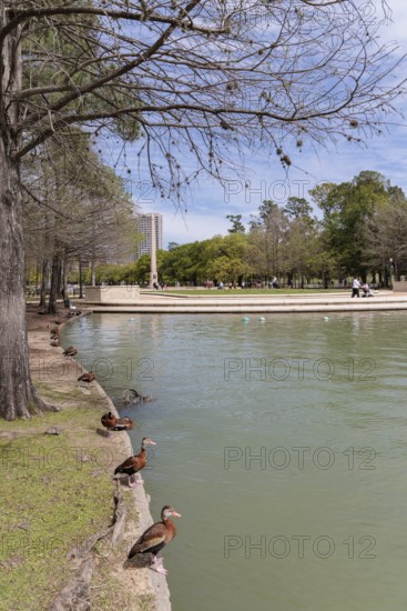 Molly Ann Smith Plaza next to McGovern Lake at Hermann Park in downtown Houston, Texas