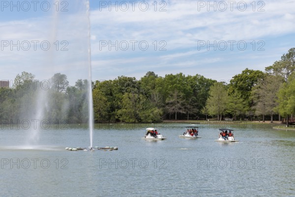 Young families piloting pedal boats around the fountain on Lake McGovern at Hermann Park in downtown Houston, Texas