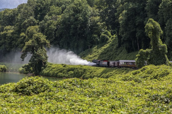 Great Smoky Mountains Railroad steam engine 1702 pushing the train from behind in reverse during an excursion from Bryson City, North Carolina