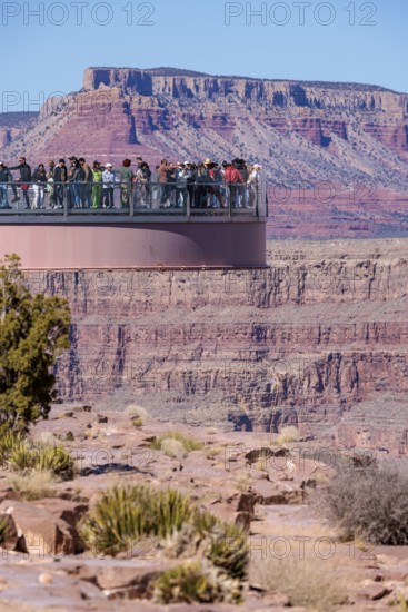 Visitors view the Grand Canyon from the Skybridge, a glass floored bridge extending 70 feet over the canyon at Eagle Point in Grand Canyon West near Peach Springs, Arizona
