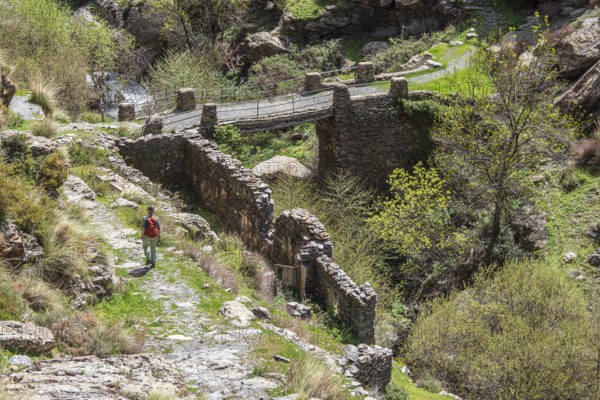At village Busquistar, hiking path in the gorge of river Trevelez, hiking woman, bridge, Sierra Nevada, Andalusia, Spain