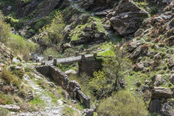 At village Busquistar, hiking path in the gorge of river Trevelez, bridge, Sierra Nevada, Andalusia, Spain