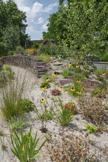 Perennial bed with drought-resistant plants, district educational garden, Burgsteinfurt, Steinfurt, Münsterland, North Rhine-Westphalia, Germany