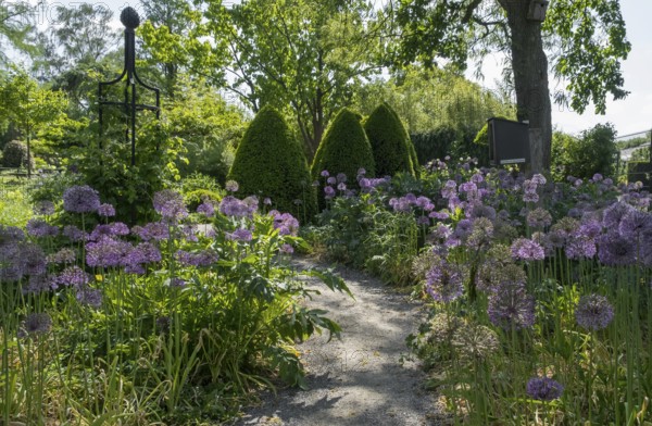 District educational garden, Burgsteinfurt, Münsterland, North Rhine-Westphalia, Germany