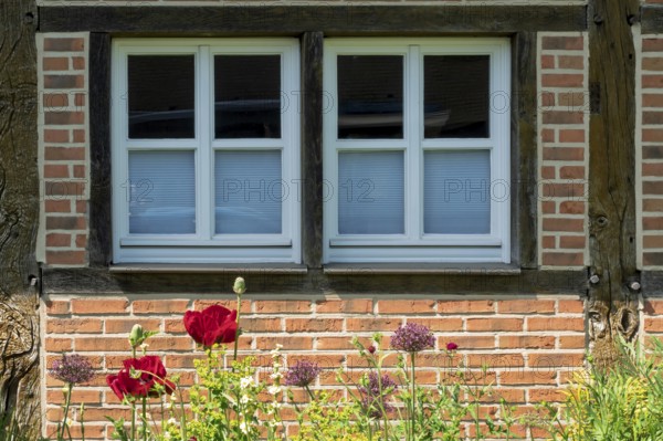 Half-timbered house façade with two small windows, district educational garden, Burgsteinfurt, North Rhine-Westphalia, Germany