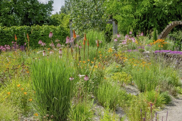 Perennial bed in summer, Burgsteinfurt district educational garden, Münsterland, North Rhine-Westphalia, Germany
