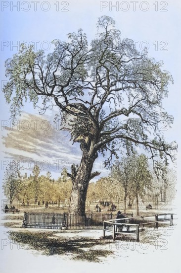 Boston, Massachusetts, the Liberty Tree in the 1870s, America, digital reproduction from American Pictures, drawn in pen and pencil, coloured, by Samuel Manning, published circa 1880, Historical