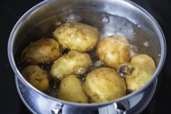 Nahaufnahme, Makro, Kartoffeln garen in kochendem Wasser in einem Kochtopf, Deutschland