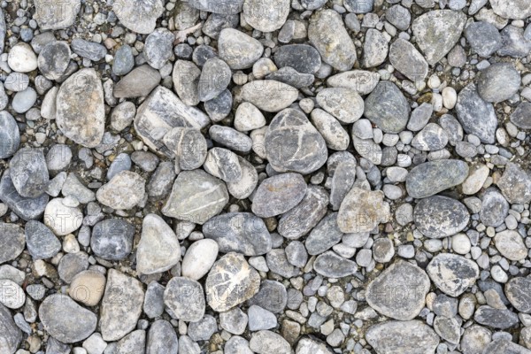 Nahaufnahme, Makro, Draufsicht, Alpiner Kies, Rundkies, Geröll an einer renaturierten Uferzone, Struktur, Oberfläche, Formatfüllend, Bodenseeufer, Bodensee, Landkreis Konstanz, Baden-Württemberg, Deutschland