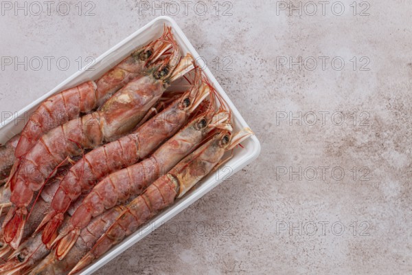 Fresh frozen Argentine shrimp, laid out in a container, top view, no people