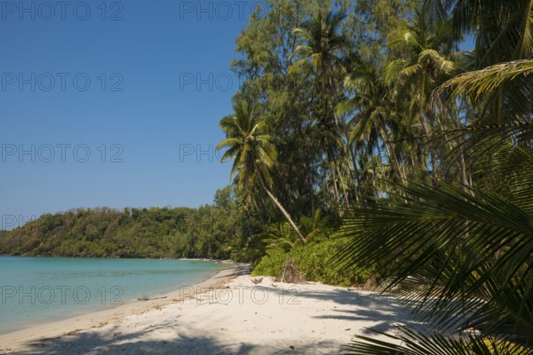 Sandy beach beach with coconut palms, We Ao Jark Beach, Koh Kood, Koh Kut, Gulf of Thailand, Thailand