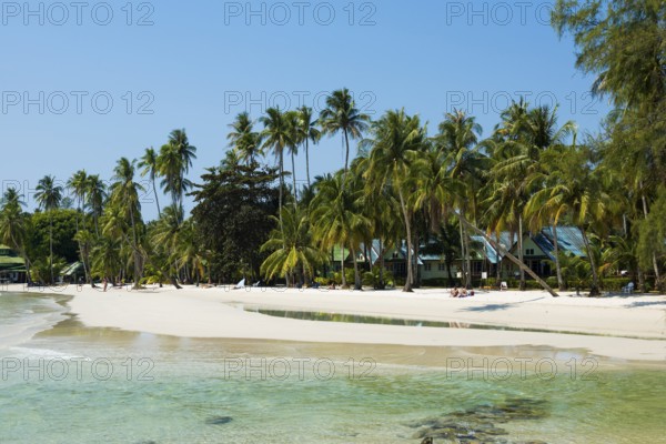 Sandy beach beach with coconut palms, Haad Khlong Hin Beach, Koh Kood, Koh Kut, Gulf of Thailand, Thailand