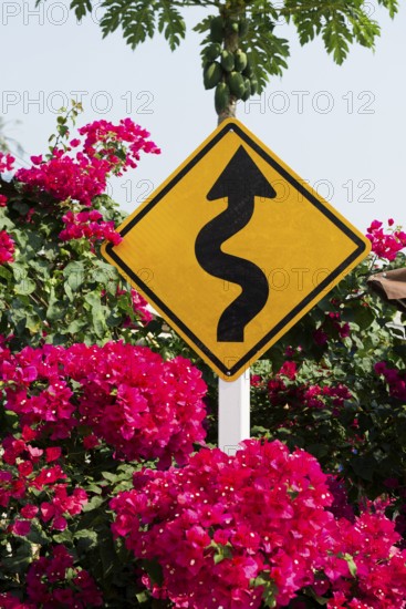 Traffic sign and bougainvillea, Ao Phrao Beach, sunset, Koh Kood, Koh Kut, Gulf of Thailand, Thailand