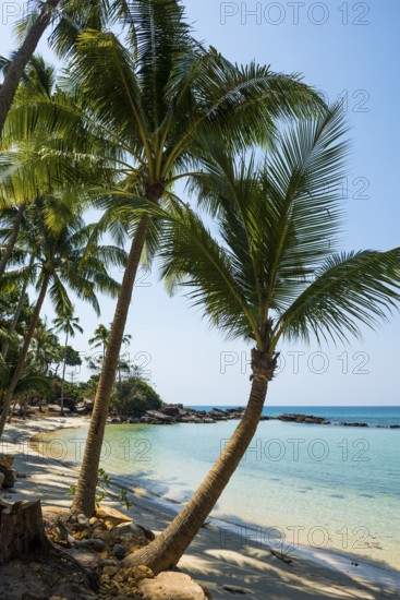 Sandy beach beach with coconut palms, Haad Khlong Hin Beach, Koh Kood, Koh Kut, Gulf of Thailand, Thailand