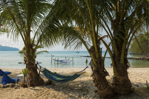 Sandy beach beach with coconut palms, Ao Phrao Beach, Koh Kood, Koh Kut, Gulf of Thailand, Thailand