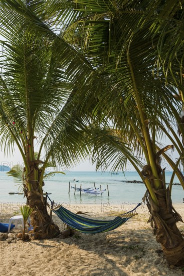 Sandy beach beach with coconut palms, Ao Phrao Beach, Koh Kood, Koh Kut, Gulf of Thailand, Thailand