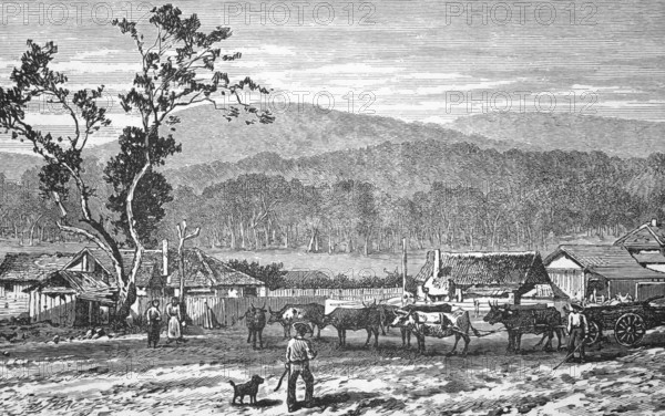 A squatter settlement, around 1870, Australia, digital reproduction of a historical model