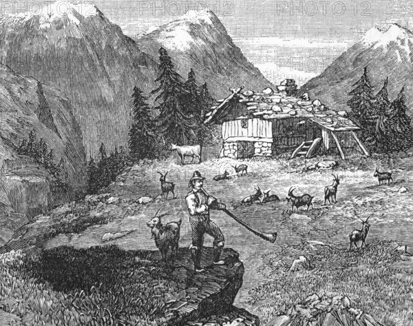 Goatherd playing alphorn, near a chalet in the Alps, around 1870, Switzerland, digital reproduction of a historical model