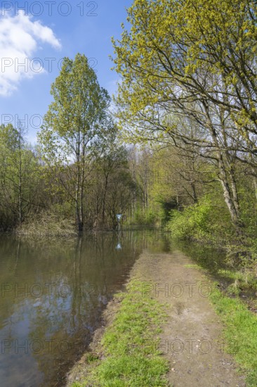 Newly created lake, flooded path, Ostholz nature reserve, Wickede, Dortmund, Ruhr area, Westphalia, North Rhine-Westphalia, Germany