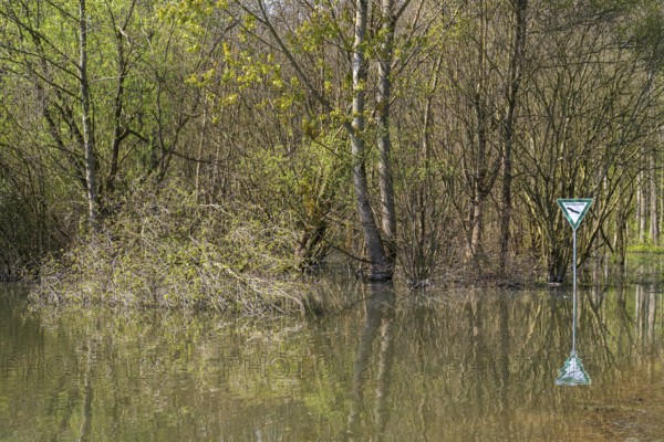 Newly created lake, Ostholz nature reserve, Wickede, Dortmund, Ruhr area, Westphalia, North Rhine-Westphalia, Germany