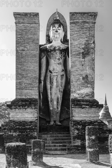 Stone Buddha statue in the historic Wat Mahathat Buddhist temple complex, historical park, black and white photo, Sukhothai, Sukhothai province, Thailand