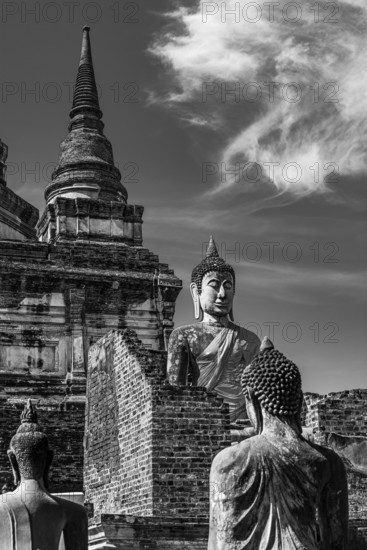 Stone Buddha statues, a temple tower in the back, Prang, historic Buddhist temple complex, black and white photo, Ayutthaya, Thailand
