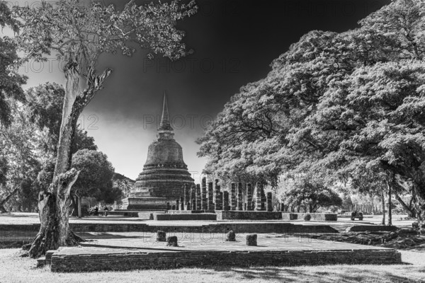 Historic Buddhist temple complex Wat Mahathat, black and white photo, historical park, Sukhothai, Sukhothai province, Thailand