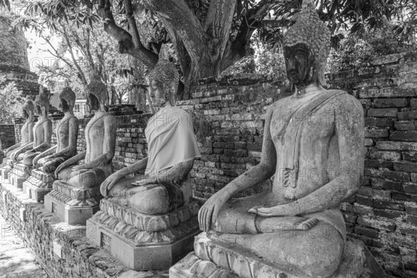 Stone Buddha statues sitting in a row, historic Buddhist temple complex, black and white photo, Ayutthaya, Thailand