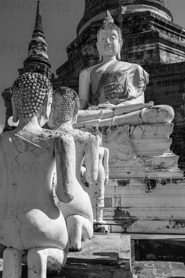 Stone Buddha statues, historic Buddhist temple complex, black and white photo, Ayutthaya, Thailand