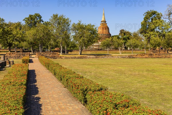 Historical park with green lawn and red honeysuckle hedges, a temple tower in the back, Prang, Sukhothai, Sukhothai province, Thailand
