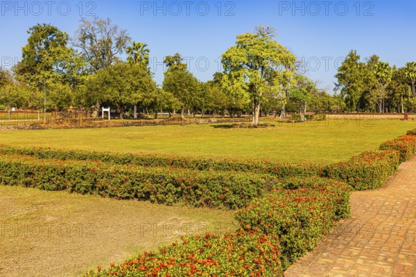 Historical park with green grass and red honeysuckle hedges, Sukhothai, Sukhothai province, Thailand