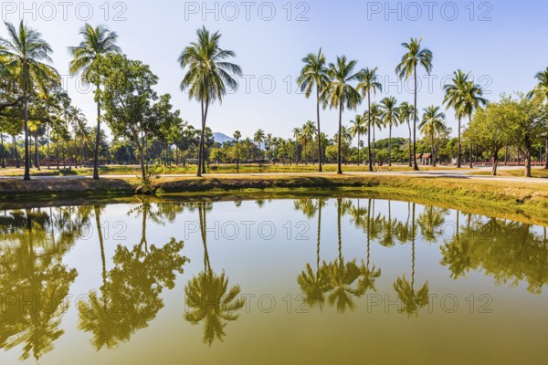 Palm trees reflected in a pond, historical park, Sukhothai, Sukhothai province, Thailand