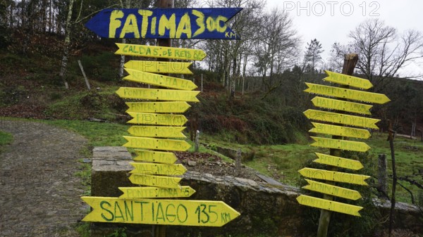 Various yellow signs show distances to Fatima and Santiago in a wooded landscape, pilgrims on the Caminho Portugues, Portugal