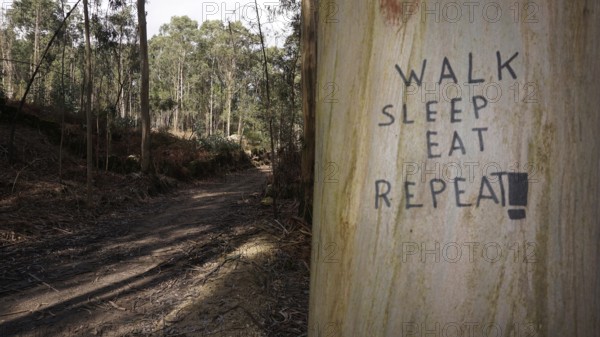 Roadside tree with the inscription 'Walk Sleep Eat Repeat' in the forest, pilgrimage on Caminho Portugues, Portugal