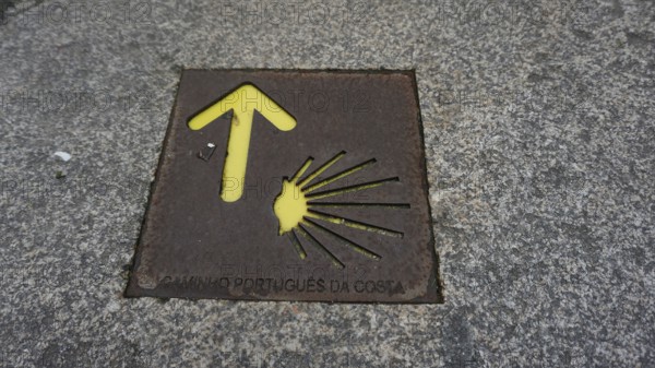 Stone marking on the Camino de Santiago with yellow arrow and shell, pilgrimage on the Caminho Portugues, Portugal