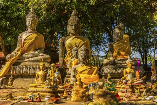Collection of large and small Buddha statues decorated with yellow cloths, historic Buddhist temple complex, Ayutthaya, Thailand
