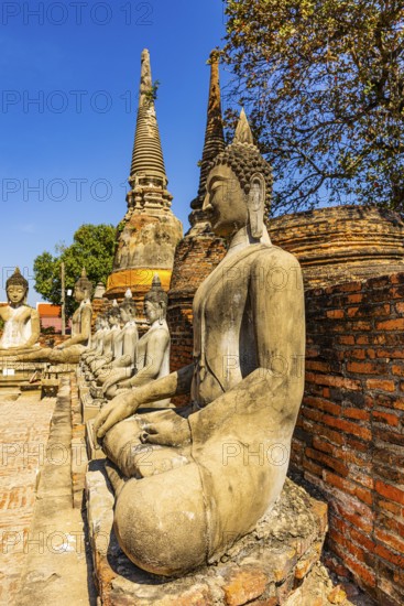 Stone Buddha statues sitting in a row, two temple towers in the back, Prang, historic Buddhist temple complex, Ayutthaya, Thailand