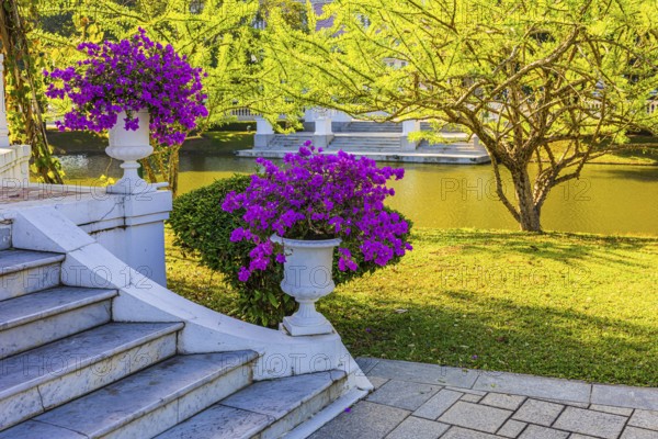 Marble staircase decorated with trophies filled with purple bougainvillea bushes, Thai King's Summer Palace, Bang Pa-In, near Ayutthaya, Thailand