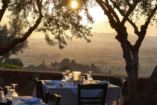 A set table under trees with a view of a vast landscape at sunset, Hotel Europa, garden restaurant and view of the surrounding landscape, Olympia, Peloponnese, Greece