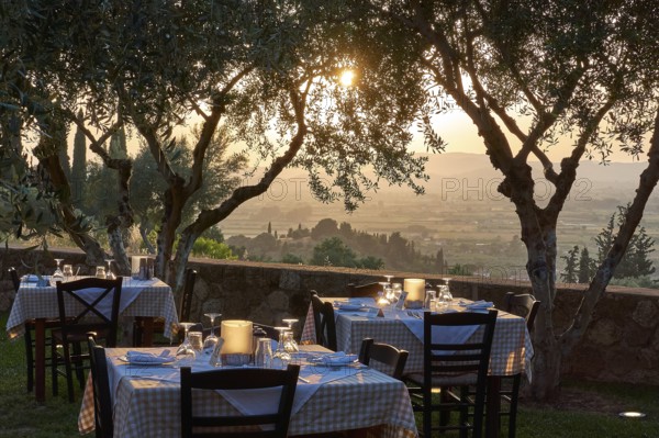 Several tables set under olive trees at sunset with wonderful views, Hotel Europa, garden restaurant and views of the surrounding countryside, Olympia, Peloponnese, Greece