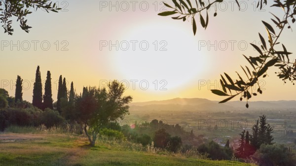 Atmospheric panorama with sunset light over a vast landscape and olive branches in the foreground, Hotel Europa, garden restaurant and view of the surrounding landscape, Olympia, Peloponnese, Greece
