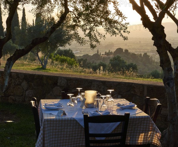 Outdoor table, surrounded by trees, in the warm light of a sunset, Hotel Europa, garden restaurant and view of the surrounding landscape, Olympia, Peloponnese, Greece